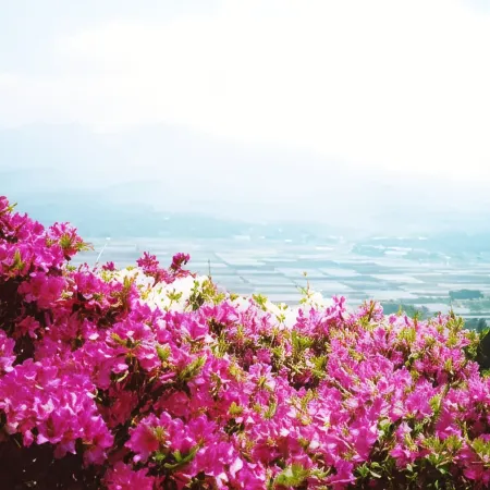 Pension Aso No Tokeidai