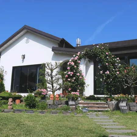 Sarah's Small Garden