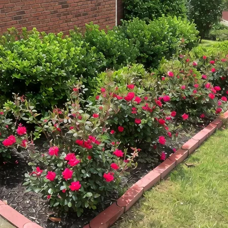 Cozy home with AC and WiFi in beautiful Flowery Branch