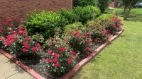 Cozy home with AC and WiFi in beautiful Flowery Branch - 3-Star