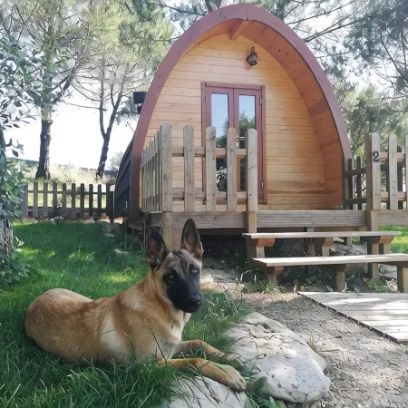 Glamping Sintra. Enjoy the tranquility of the forest.