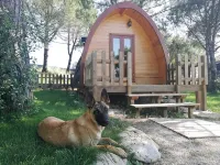Glamping Sintra. Enjoy the tranquility of the forest. - 2 ดาว