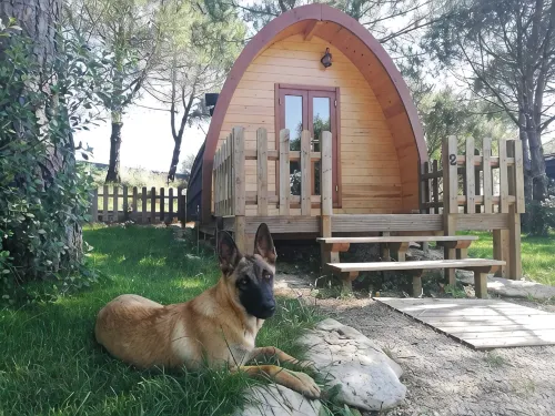 Glamping Sintra. Enjoy the tranquility of the forest. - 2-Star