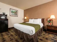 Best Western Amador Inn Hotels in Jackson