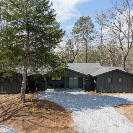 Modern pet friendly home w/ covered dock near Lake Lanier Olympic Park