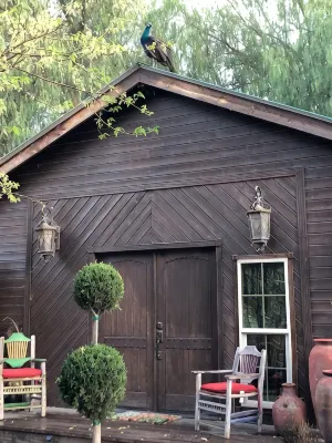 Wine Country Working Wool Sheep Farm Stay; Hay Barn Cottage 501c3 - Apartments