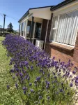 Cozy 2 Bedrooms Lavender Garden House at Oamaru, sweet as home!