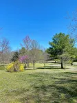 Modern 2 bed cabin 2 miles from Lake Nimrod and within 30 mins of 4 state parks - 3-Star