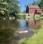 Riverfront Cottage that offer Incredible views, is pet friendly and private - Wifi