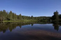 Lodge at the Lake near Pinecrest/Dodge Ridge WiFi - Chalets