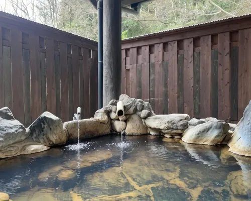 Oogi Onsen Oogiso Номера Photos