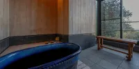 Nishiizu Koyoi
