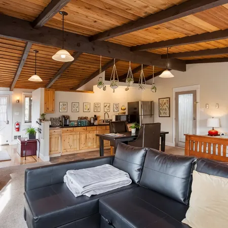 Cozy Up at a Nature Inspired Boutique Studio in the Trees - River Nearby