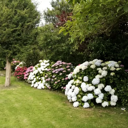 Renovated House, Large Garden, Close to Beaches
