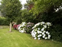 Renovated House, Large Garden, Close to Beaches