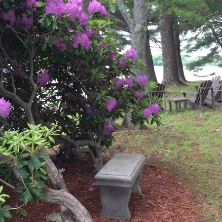 Waterfront Home with Stunning Views .. Dog friendly , and great fishing !!!