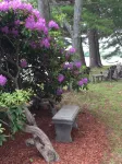 Waterfront Home with Stunning Views .. Dog friendly , and great fishing !!! - 4 tähden