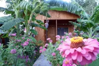 Estelar Bungalow