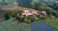 Guayabo Lodge - Mountain view