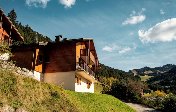 Charming 12-person chalet with Wi-Fi and sauna - Chatel Reservation