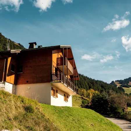 Charming 12-person chalet with Wi-Fi and sauna - Chatel Reservation