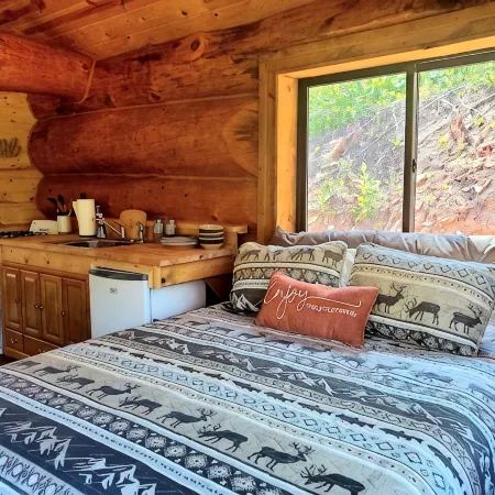 Cozy Cabin Nestled on the Side of Our 21 Acre Mountain - 10 Min to Spearfish!