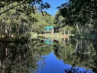 Lower Twin Cabin - 34 beautiful private acres of forest, meadows and riverfront.
