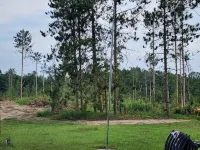 Cabin in Wooded Setting, Safe, Charming, Thumb Lake, Mushrooms, Beautiful Views!