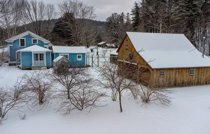 Catskill dreamy pet friendly country house  for a unique getaway experience.