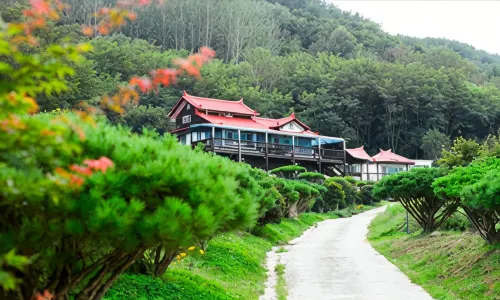 Yanggu Ire Pension - Wifi