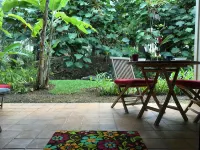Beaches, Eats, Shops, Trees, Flowers, Frogs, Birds: Go Native! - 3-Sterne