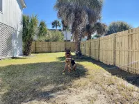 Partial Ocean View! Fenced Yard Bring Doggo. WaterFront Dock Fishing - 무료 와이파이