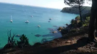 Sea view, stone house between Crozon Camaret, Wifi, closed, bright garden