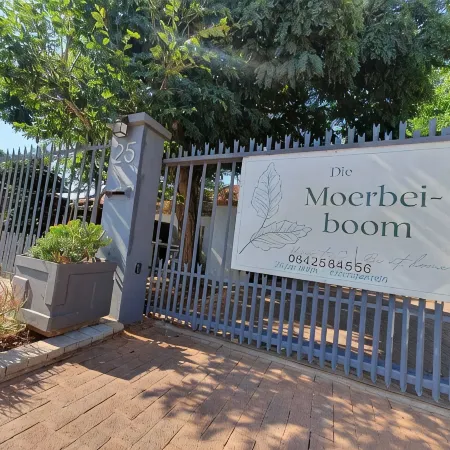 Die Moerbeiboom