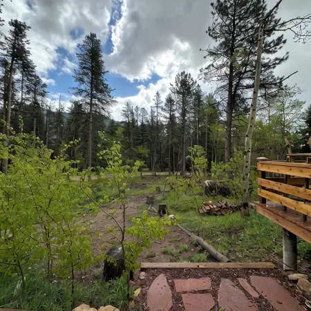 Beautiful Year Round - Creekside Cabin - Near RMNP - Dog Friendly