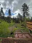 Beautiful Year Round - Creekside Cabin - Near RMNP - Dog Friendly - Alphydda