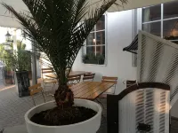 Dünenhotel am Meer - Beach