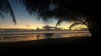 Beachfront Jungle Casita  Surf, Sunsets & Privacy   20 Steps to Ocean - WiFi