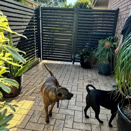 Salty Crew villa , Central spot , Pet friendly ,private garden oasis secure yard