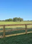 Farm house without the work. Enjoy the fresh air and the star gazing at night. - WiFi