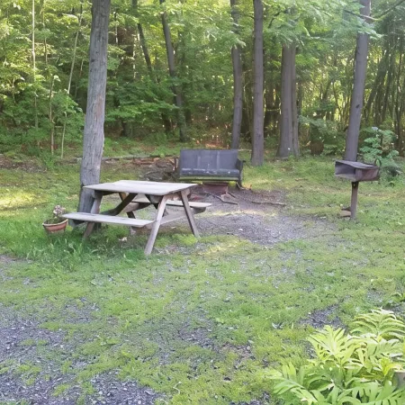 Cozy Cabin In The Woods Near Raystown Lake