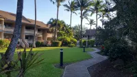 New Central AC! Oceanfront Steps from the Beach, with Pool, Jacuzzi, & BBQ. - Pools