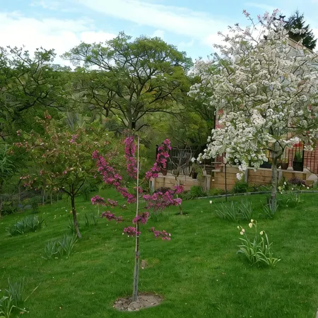 Secluded Detached Stable / Barn Conversion On The Border Of Shropshire And Wales