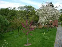 Secluded Detached Stable / Barn Conversion On The Border Of Shropshire And Wales - Wi-Fi