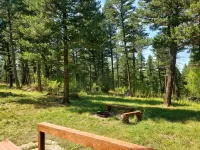 Remote cabin on 40 acres with wildlife and no distractions. - 2つ星
