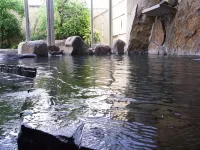 Ryokan Otsukien - Hot Springs