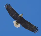 Sportman's Oasis on Reelfoot Lake - 3 estrellas