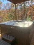 BUDDHA BLUE RIDGE TREES is a BRAND NEW custom 4/4 Close to town Find your ZEN... - Wifi