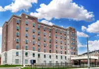 Comfort Suites Cincinnati University - Downtown - جاكوزي