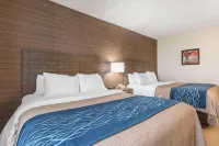 Comfort Inn - Pet friendly